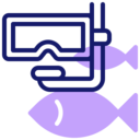 summer,season,hobbies and free time,diving,scuba diving,snorkel,snorkel gear